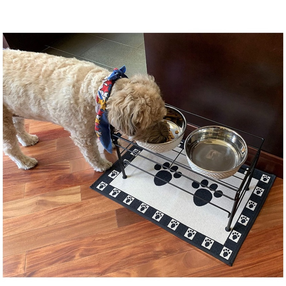 NWT | Petrageous Pet Dining Table